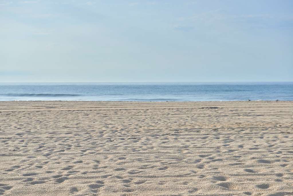 Drifting Sands Oceanfront Hotel Ship Bottom Luaran gambar